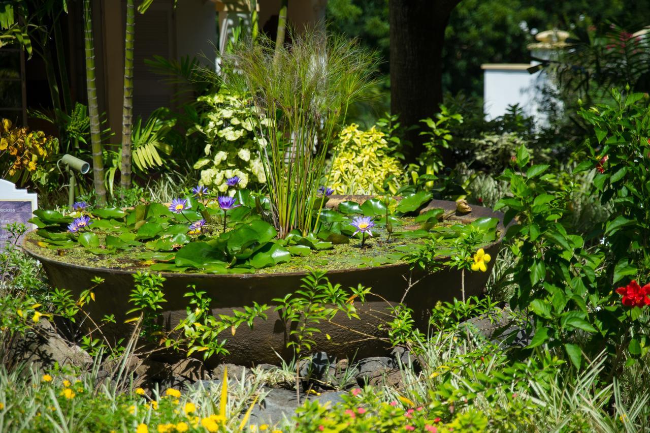 Blue Horizons Garden Resort St. George's Exterior foto